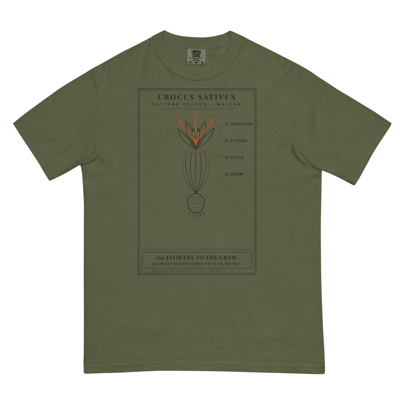 'THREE THREADS' tee, olive